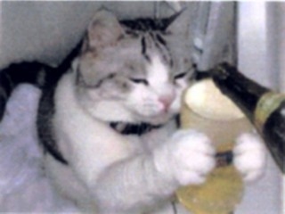 �r�A�L���b�g