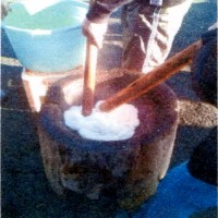 �_�ސ쌧�̖݂����i